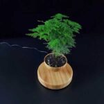 خرید اینترنتی گلدان معلق گرد برند BABYLONIA (HCNT) فروشگاه اینترنتی آخارشاپ